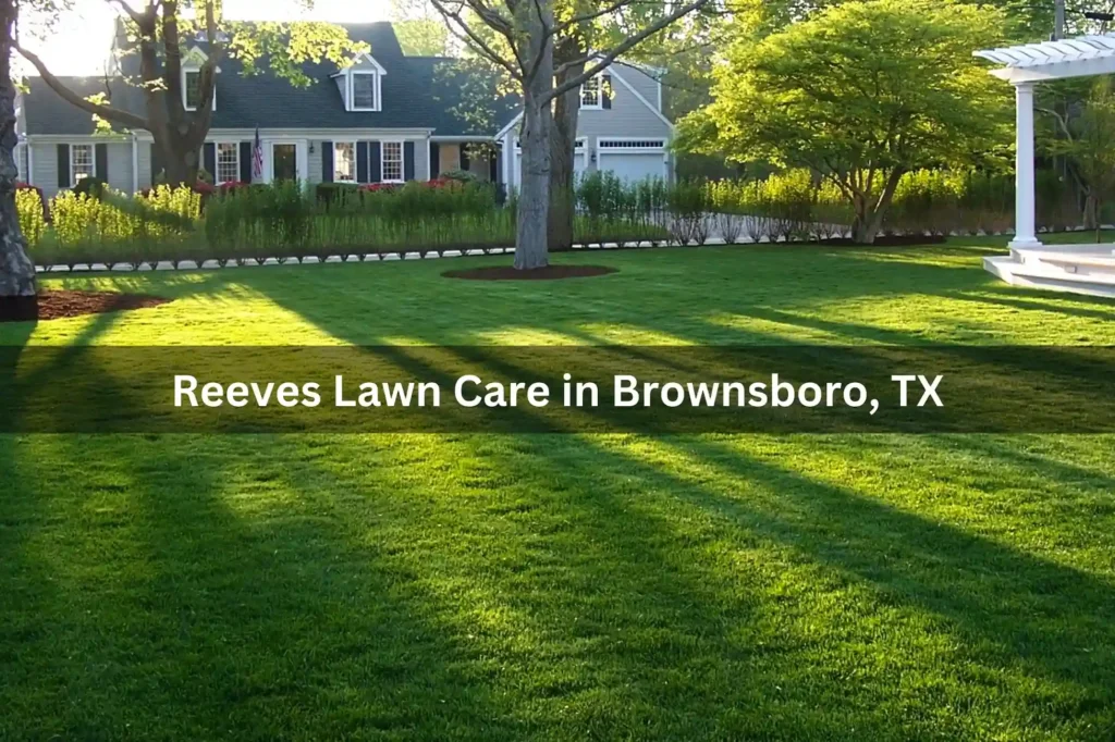 Reeves Lawn Care in Brownsboro, TX